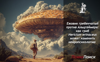 Ежовик гребенчатый против Альцгеймера: как модный гриб Hericium erinaceus влияет на нейрогенез Как гриб Hericium erinaceus влияет на нейрогенез