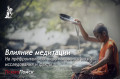 Влияние медитации на префронтальную кору головного мозга: исследования и факты Влияние медитации на префронтальную кору