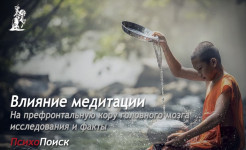 Влияние медитации на префронтальную кору головного мозга: исследования и факты Влияние медитации на префронтальную кору