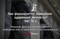 Как формируется поведение одаренной личности? Часть 2: Внешние факторы Как формируется поведение одаренной личности?
