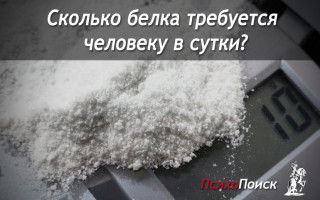 Сколько белка требуется человеку в сутки? Белок
